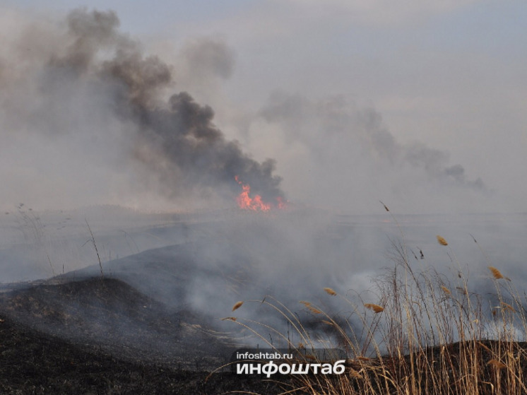 Пожары угрожают нересту рыбу в Астраханской области