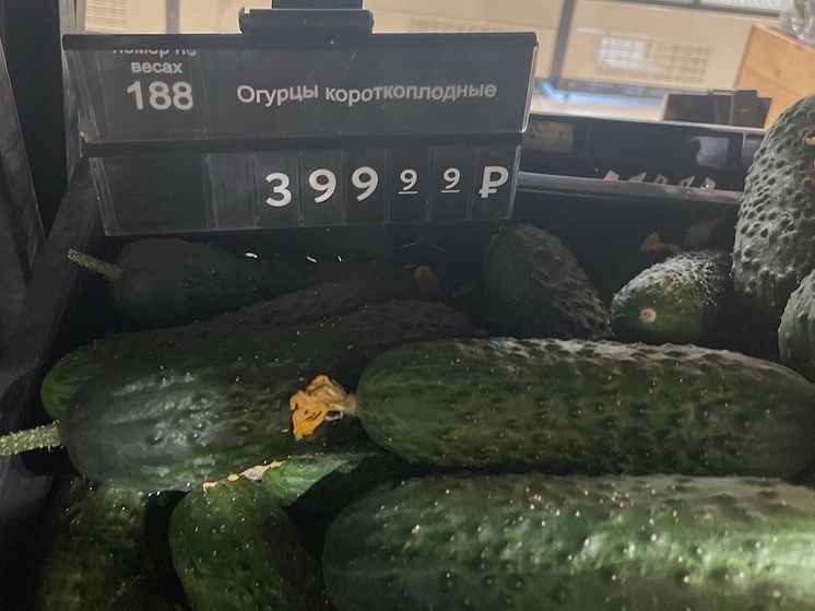 Огурцы по цене свинины: В Ростове-на-Дону наблюдается резкий скачок цен на овощ