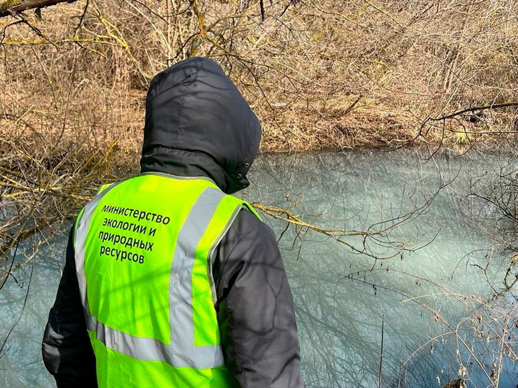 В Тамбовской области продолжается расследование по вопросам гибели рыбы в пруду Гудня