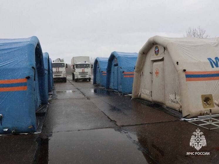Новгородские спасатели отработали борьбу с весенним паводком
