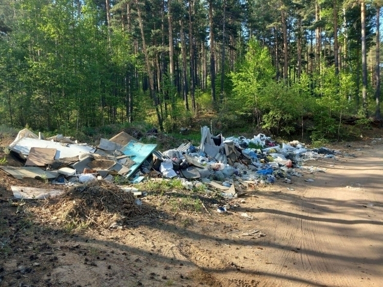 Читинец заплатит 10 тысяч рублей за несанкционированную свалку