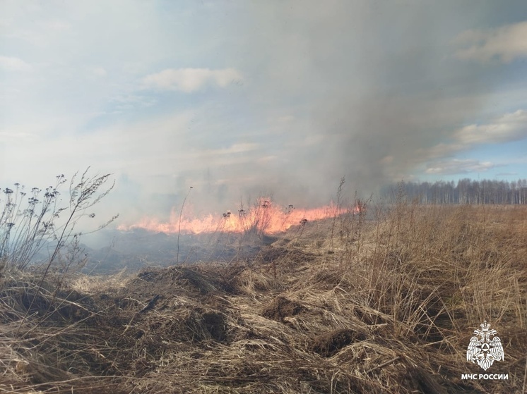 В одном из районов Костромской области хулиганы спалили площадь в 7 га