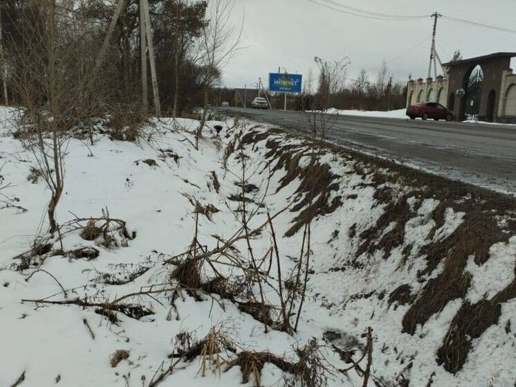 В Ломоносовском районе экомилиция зафиксировала загрязнение территории