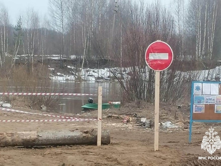 Костромские переправы: на период паводка разобран наплавной мост через реку Немда