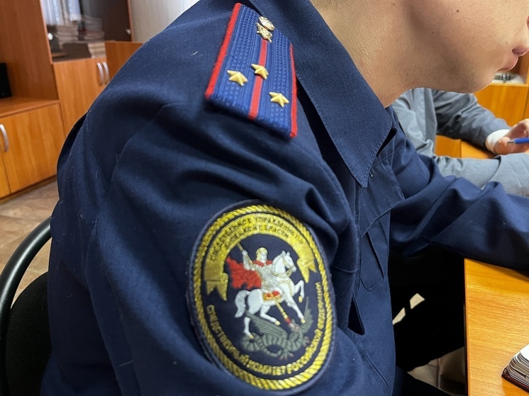 В Липецкой области мужчину осудили за угрозу в отношении представителя власти