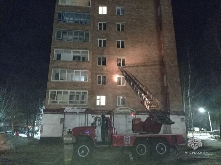 В Красноярском крае за сутки произошло 10 пожаров, 2 человека погибли