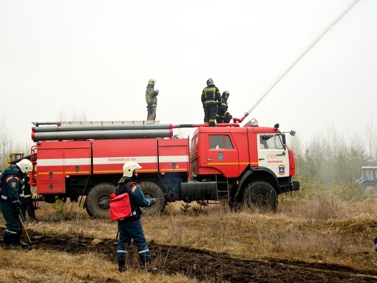 Противопожарный режим в Воронежской области объявят с 1 апреля