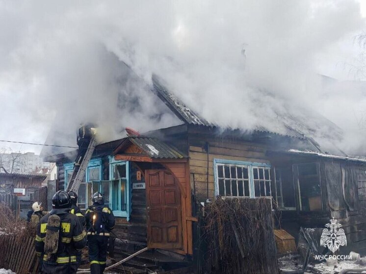 При пожаре в Брянске погибла пожилая женщина