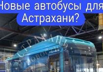 Пресс-служба губернатора Астраханской области внесла ясность в ситуацию с прибытием в город десяти лазурных автобусов из Санкт-Петербурга, вызвавших немало вопросов у горожан