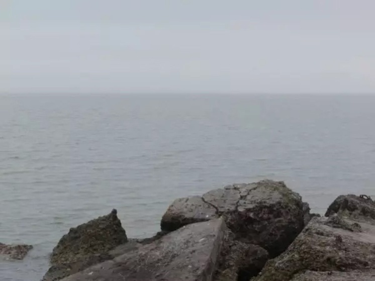 Над акваторией Азовского моря сбили семь беспилотников 19 марта