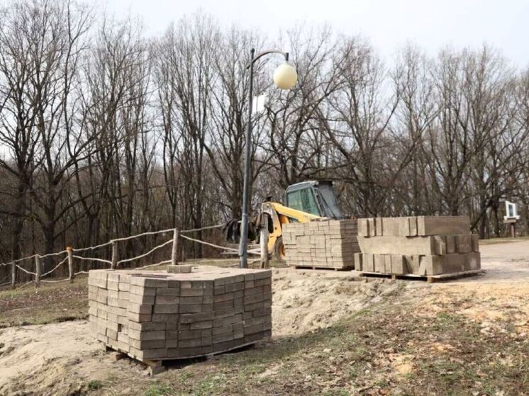 В белгородском парке «Под Дубом» началось благоустройство зоны отдыха