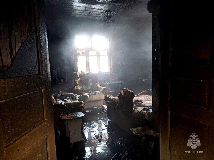 В  деревне Щепец неосторожное обращение с огнем сожгло хозпостройку