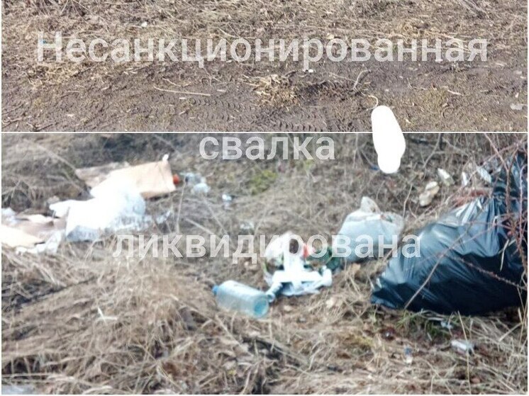 В Каменском районе после вмешательства прокуратуры убрали свалку