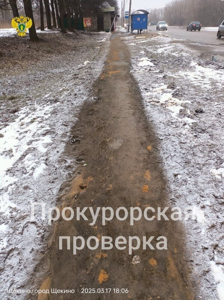 Прокуратура нашла нарушения в безопасности движения в Щекино из-за тротуара