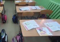 В Омской области с 2020 года в рамках программы «Земский учитель» в районные школы пришли работать 50 педагогов