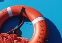 В Гострудинспекцию Мурманской области поступило извещение о тяжелом несчастном случае, который произошел в Полярном филиале ФГБНУ «ВНИРО». Инцидент произошел 16 марта 2025 года на борту судна, стоявшего у причала.