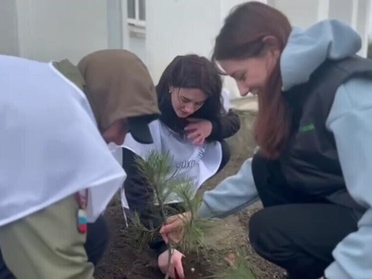 В Новобогдановке на Запорожье прошла акция "Сад памяти"