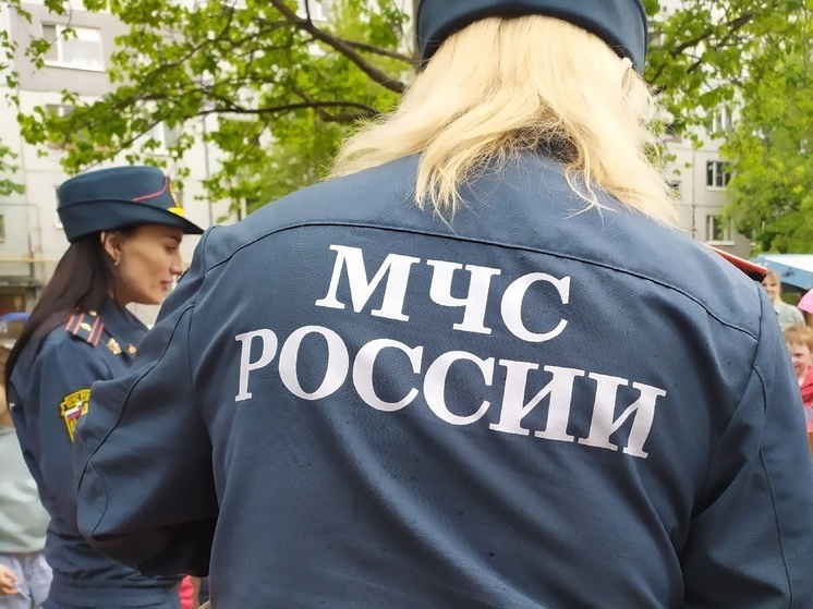 На Вологодчине возобновили ежемесячные выплаты сотрудникам МЧС
