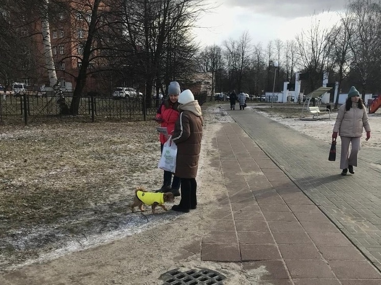 В Ярославле прошла очередная проверка собаководов