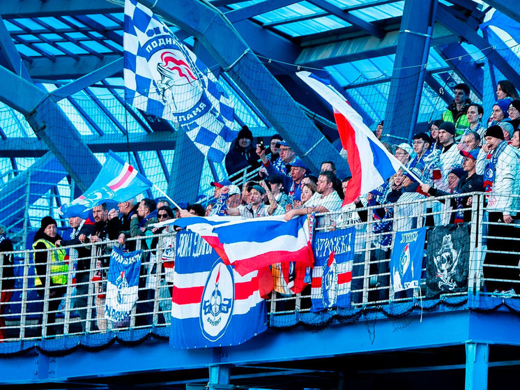 Воронежский «Факел» передал материалы дела о нарушении поведения фанатов в правоохранительные органы