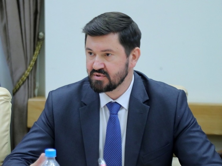 В Ростовской области министр экономического развития Максим Папушенко покинул пост