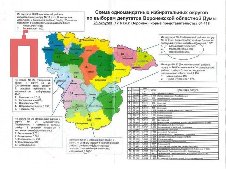 За последние десять лет количество избирателей в Воронежской области уменьшилось на 84,5 тысячи