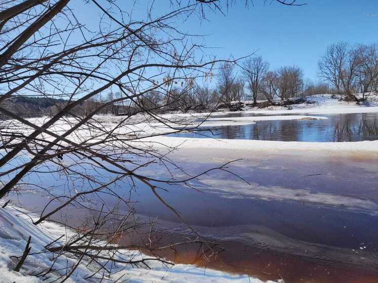 На реках Рязанской области зафиксированы минимальные уровни подъёма воды