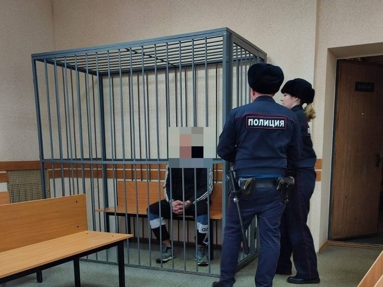 Суд арестовал 43-летнего рязанца, подозреваемого в убийстве