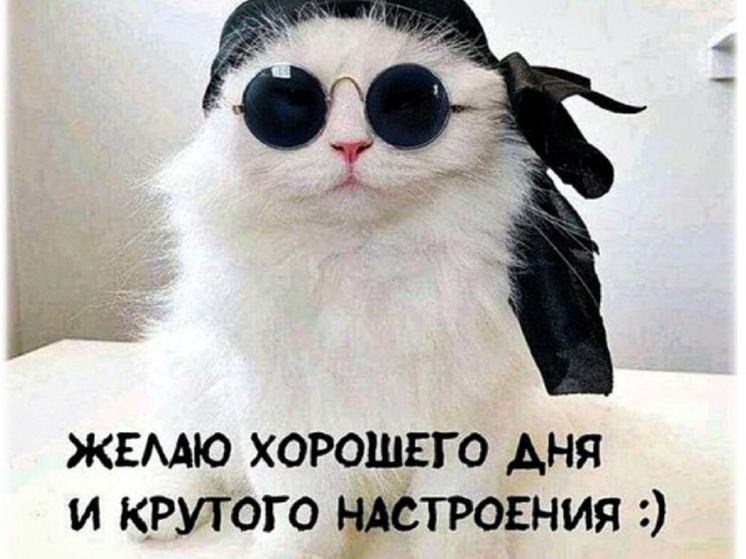 Открытки с пожеланием хорошего дня: красивые, новые и прикольные картинки для прекрасного настроения