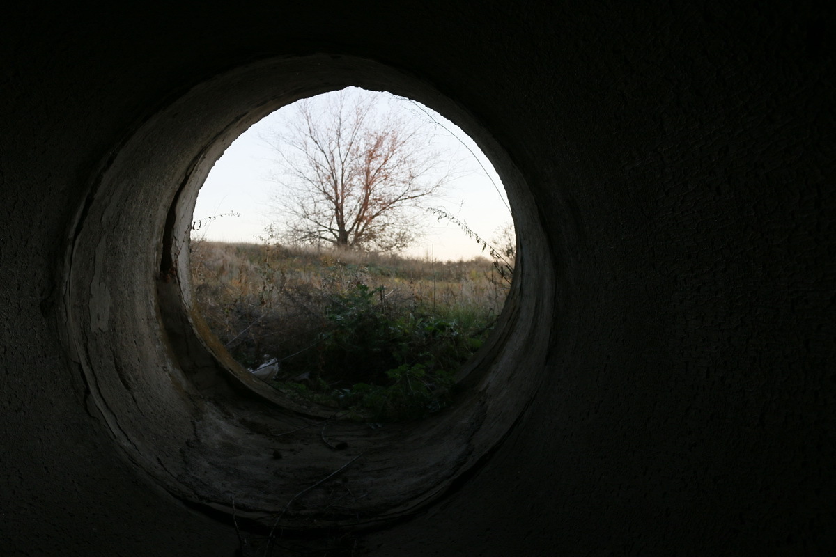 Фото: Николай Ткаченко