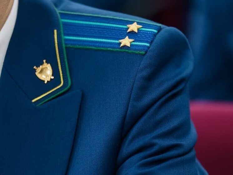 Прокуратура проверяет нападение собак на ребенка в Алдане
