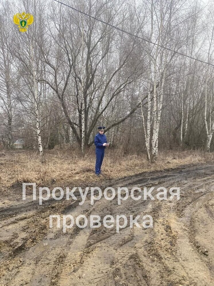 Прокуратура в Богородицке нашла нарушения в содержании дорог