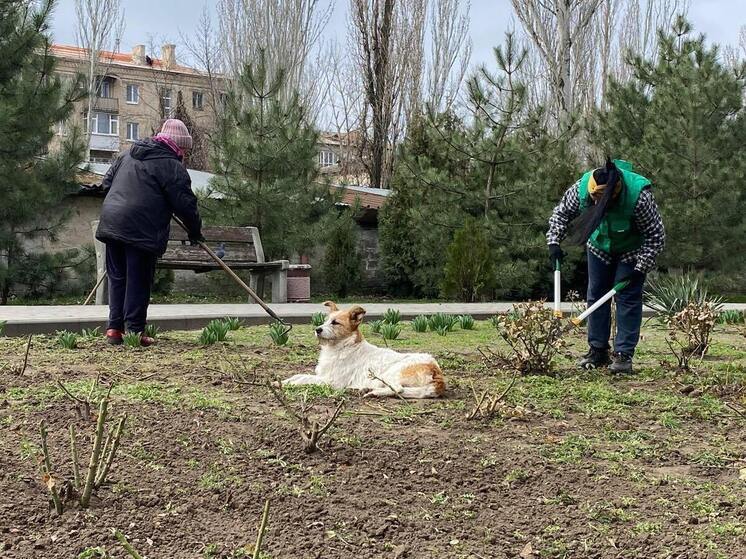 Мелитопольский парк приводят в порядок после зимы