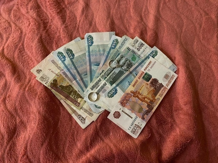 Жительницу Щекино обязали выплатить долг по онлайн-займу через суд