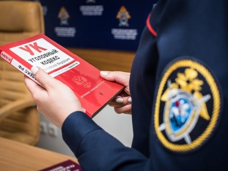 Мать убитой Джессики Кужной из Евпатории ждет суда