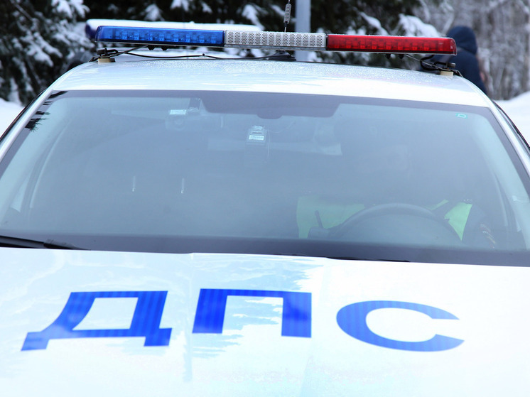 В Раменском округе инспектор помог дворняжкам перейти трассу
