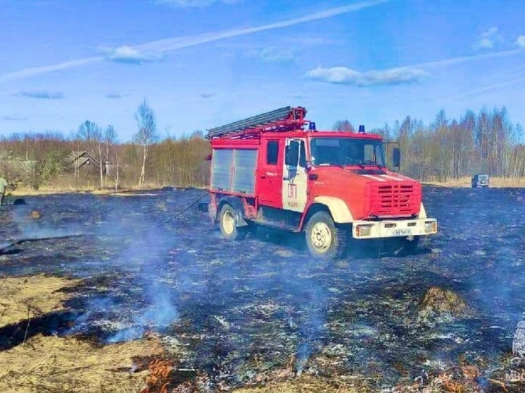 Под Тверью деревню спасли от ландшафтного пожара