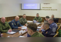 Неподалеку от деревни Подберезье Новгородского округа 18 марта прошли командно-штабные учения «Молния-2025», сообщила пресс-группа УФСБ РФ по Новгородской области