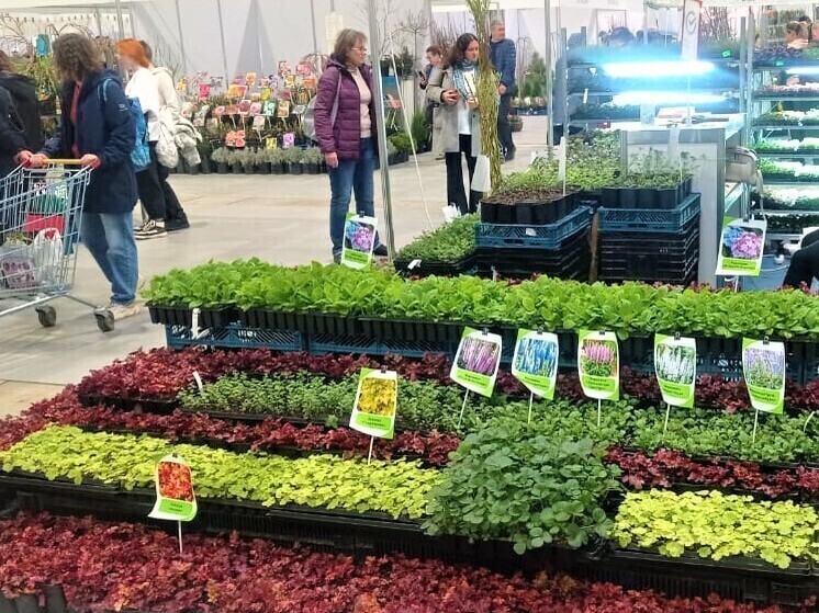 Более 400 фермеров участвуют в кубанской весенней ярмарке
