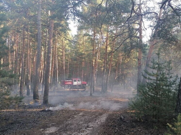 В Подмосковье напомнили о штрафах за нарушение норм пожарной безопасности