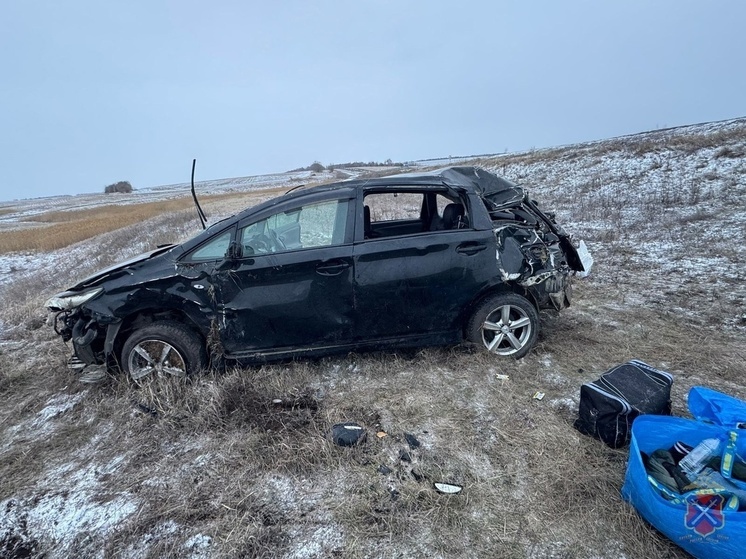 В Волгоградской области иномарка вылетела в кювет, пострадали 3 человека