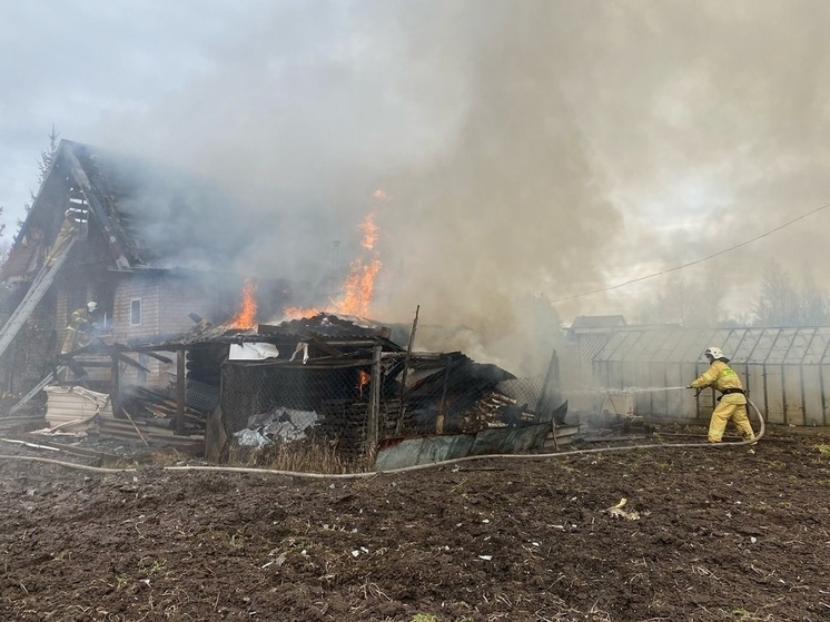 В Парфинском районе пламя уничтожило сарай и повредило частный жилой дом