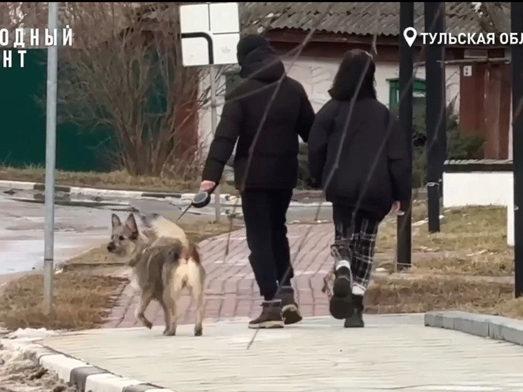 ОНФ просит власти Венева благоустроить место для выгула собак
