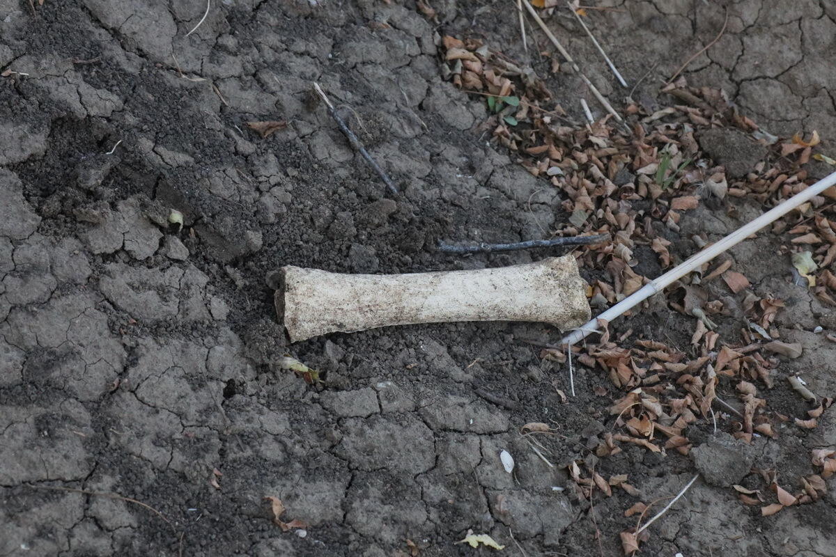 Фото: Николай Ткаченко