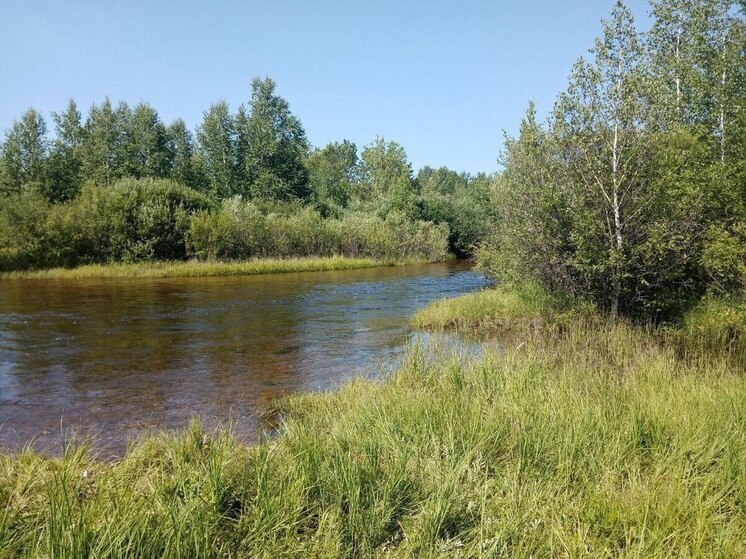 Знаки для обозначения границ водоохранных зон установят в Забайкалье