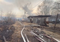 В селе Авангард Партизанского городского округа Приморского края произошел масштабный ландшафтный пожар, в результате которого уничтожена значительная часть жилых строений