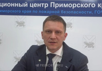 Реальные последствия крупного ландшафтного пожара в селе Авангард Партизанского округа Приморского края оказались менее разрушительными, чем сообщалось ранее