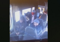 Во Владивостоке полиция разыскивает мужчину, который на фоне явных признаков невменяемости начал приставать к 11-летней школьнице в маршрутном автобусе
