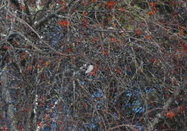 В выходные дни 22 и 23 марта в Марий Эл синоптики обещают ясное небо.