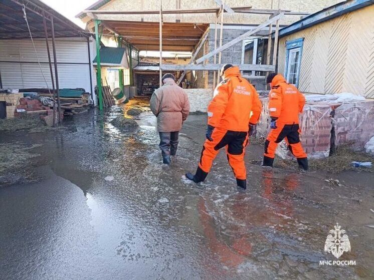 В Башкирии из-за подъема реки Юрюзань эвакуировали 19 человек